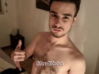 AleyModel