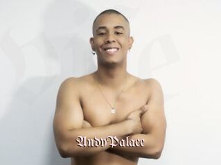 AndyPalace