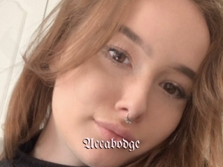 Accabodge