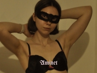 Aminet