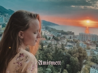 Amismett