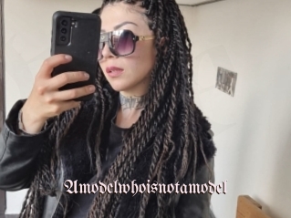 Amodelwhoisnotamodel