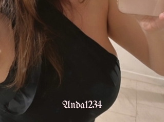 Anda1234