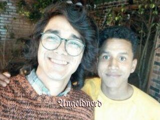 Angeldnerd