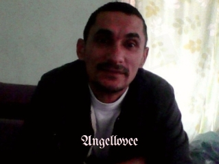 Angellovee