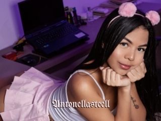 Antonellasteell
