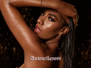 antonellavoss Vidéos Fellations