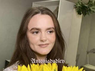 Antoniadudley