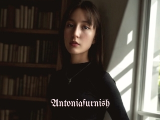 Antoniafurnish