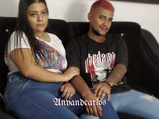 Anyandcarlos