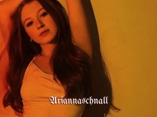 Ariannaschnall
