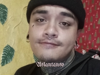 Aslantanso