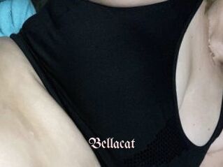 Bella_cat