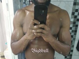 Bigdbull