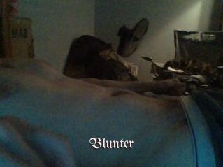 Blunter