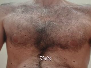 Bode