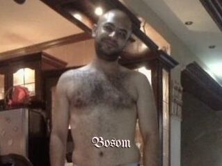 Bosom