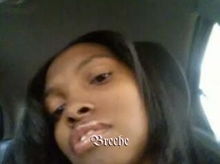 Breche
