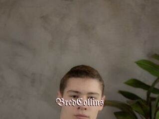 BredCollins
