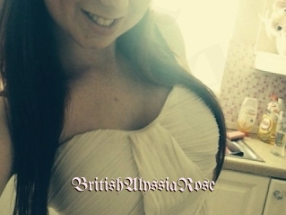BritishAlyssiaRose