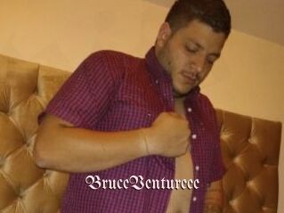 BruceVentureee