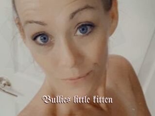 Bullies_little_kitten
