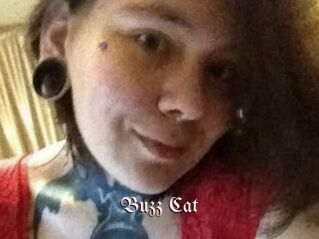 Buzz_Cat