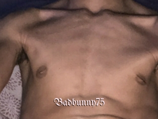 Badbunny75