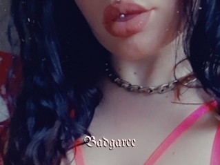 Badgarce