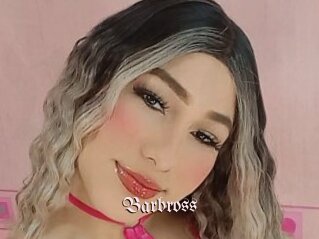 Barbross