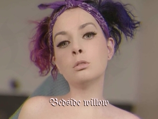 Bedside_willow