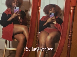 Bellarosepotter