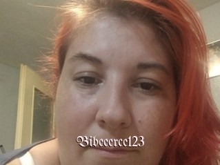 Bibeeerce123