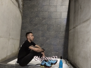 Bigboss22