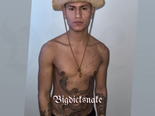 bigdicksnake Vidéos Fellations