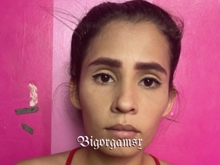 Bigorgamsx