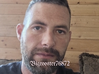 Bigrooster76872