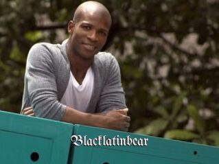 Blacklatinbear