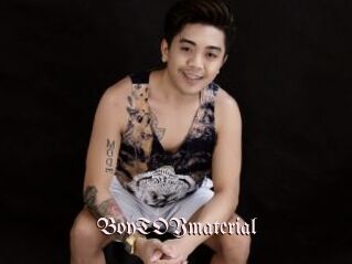 BoyTOYmaterial
