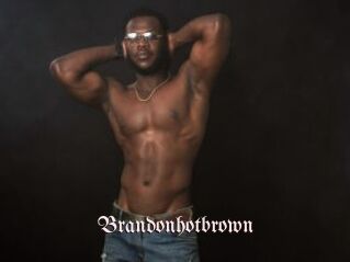 Brandonhotbrown