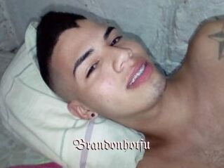 Brandonhotfu