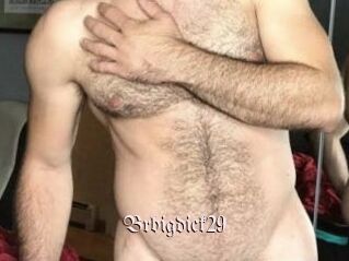 Brbigdick29