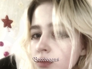 Breeboggus