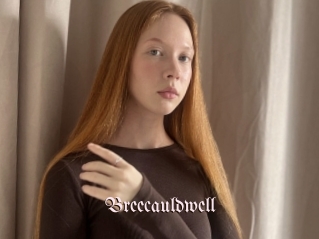 Breecauldwell