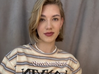 Breechambless