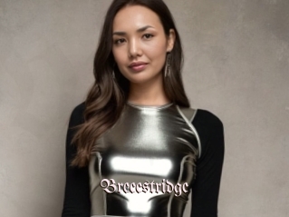 Breeestridge