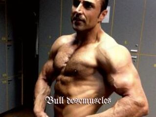 Bull_dosemuscles