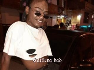 Cattleya_bad
