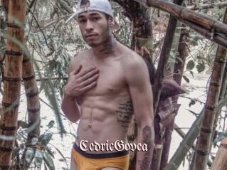 CedricGovea