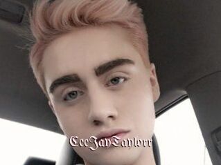 CeeJayTaylorr
